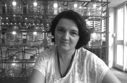 image044 tugarinov